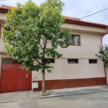 Z Villa 부쿠레슈티 외부 사진